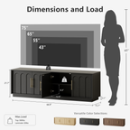 67" Modern TV Stand for 75 Inch TV Living Room, Black
